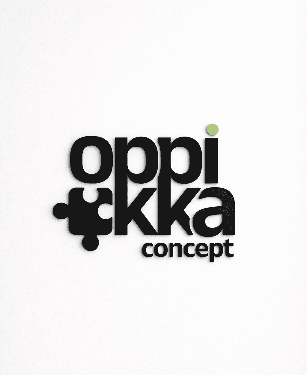 Oppikka team working